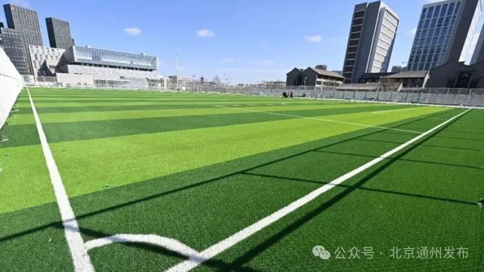 为什么选择特定品牌的篮球训练设备_1